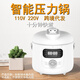 VIBILI110V伏出口美國日本加拿大電壓力鍋多功能家用高壓鍋電飯煲小家電 230V不銹鋼內(nèi)膽 歐規(guī)
