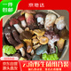 京地達云南新鮮野生菌菌菇組合凈重500g雞樅菌牛肝菌野生蘑菇源頭直發(fā)