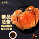 【活蟹】今錦上蘇州大閘蟹2.6-2.9兩 8只鮮活六月黃現(xiàn)貨螃蟹生鮮禮盒 去繩足重源頭直發(fā)