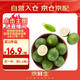 京鮮生 海南大青檸/青檸檬 8粒 單果約70-100g  生鮮水果