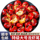賣魚七郎 特大鮮凍特級龍蝦尾500g麻辣小龍蝦海鮮水產(chǎn)蝦球固形物含量≥75% 特級蝦尾2斤裝（100-120只） 特級龍蝦尾