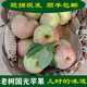 果益壽【順豐直達】承德老樹(shù)國光蘋(píng)果新鮮小時(shí)候的味道酸脆甜孕婦鮮水果 4斤 60mm(含)-65mm(不含)