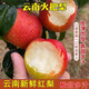 云南紅梨火把梨高原小紅梨小酥梨新鮮梨子孕婦水果酸甜味非香梨 9斤 單果180g+（大果）