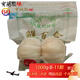 寶蘭聚緣蘭州新鮮百合食用甜百合蔬菜真空兩頭皇個(gè)大干凈9年生當(dāng)季新貨H空 2斤8-11顆