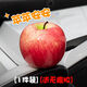KYODO 鯨美多汽車(chē)蘋(píng)果擺件車(chē)外裝飾玩偶品 網(wǎng)紅 仿真創(chuàng)意可愛(ài)車(chē)載水果車(chē)尾車(chē)頂 平平安安【紅蘋(píng)果】