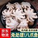 新鮮八爪魚迷你小章魚鮮活冷凍短腿章魚足小八爪 500g /袋 500克(凈重)  鮮凍小八爪【3斤】