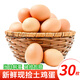 筱諾 農家新鮮土雞蛋 現撿柴雞蛋初生蛋單枚40±5g 30枚1200g