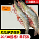 東上御品 厄瓜多爾白蝦鹽凍超大號3斤 南美白蝦青蝦 蝦類(lèi)海鮮水產(chǎn) 3斤(凈重)  【20/30規格 單只凍】