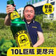 德倫堡（DERENBURG）8度原漿精釀啤酒10L*1 8P 2.5%vol * 10L 1桶