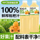 薈多滋【清倉2大瓶】NFC荔枝火龍果楊梅枇杷汁100%果汁飲料0添加整箱批 枇杷汁【2瓶*848ml】老日期