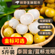 龍眼水果 泰國龍眼新鮮甜桂圓大個(gè)鮮當季時(shí)令生鮮整箱孕婦水果 【帶枝藍標】2斤裝