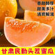 隴百味甘肅民勤蜜瓜頭茬蜜瓜黃河沙漠蜜瓜新鮮現(xiàn)摘水果甜瓜香瓜當(dāng)季蜜瓜 精選蜜瓜凈重  4.5-5斤