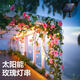 奧凡科太陽能燈串戶外庭院裝飾藤條燈新款玫瑰花燈太陽能玫瑰花燈串 香檳粉玫瑰-10米100燈太陽能暖光