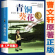 青銅葵花正版曹文軒四年級下冊原版完整版課外閱讀草房子江蘇鳳凰少年兒童出版社小英雄雨來寶葫蘆秘密張?zhí)煲?【原著完整版】青銅葵花 曹文軒