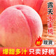 三萌果蔬山西水蜜桃應(yīng)季桃子新鮮水果紅不軟毛桃脆桃硬桃鮮果當(dāng)季整箱孕婦 5斤超精選果【凈4.5斤】