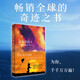 追風(fēng)箏的人（阿富汗普通人今日的遭遇是過去的重演。紐約時(shí)報(bào)暢銷書榜上榜超100周。） 小說