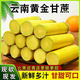 云南黃金甘蔗超甜新鮮水果孕婦當季特產(chǎn)綠皮黃皮白玉甘蔗多汁9斤 3斤