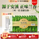 中茶海堤茶葉禮盒鐵觀音清香型小包裝 閩南烏龍茶 【居家自飲】透明盒250g*1盒