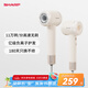 夏普家用高速吹風(fēng)機(jī) 大功率速干電吹風(fēng)低噪音吹風(fēng)筒等離子護(hù)發(fā)IB-RP45C-P奶茶色 【520禮物】