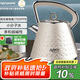 亞摩斯（Amos）家用電熱水壺富氫水辦公水素水弱堿性小分子水食品級304燒水壺大容量1.6L AS-KT17H