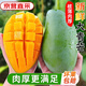 庾豐新鮮大青芒果當季新鮮現(xiàn)摘孕婦水果 熱帶整箱應(yīng)季大青皮芒果 5斤裝-凈重4.5斤  單果150g+