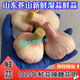 桃西村 山東蒼山新鮮濕大蒜頭當(dāng)季新白皮濕蒜鮮蒜農(nóng)家自種可腌制糖醋蒜 3斤 中果【去泥皮】蒼山鮮蒜【可腌制】