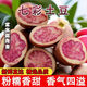正宗七彩土豆馬鈴薯云南特產(chǎn)新鮮5斤紫心紅皮粉面軟糯新鮮紅洋芋 云南高山種植稀有土豆 中果 9 斤