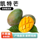 四川當(dāng)季時令凱特芒果新鮮現(xiàn)摘水果芒果【老樹甄選】青皮凱特芒果 5斤【單果400-500g】凈重4.5斤 【新鮮時令水果】