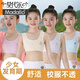 莫代爾兩件裝】8-14歲女童內(nèi)衣發(fā)育初期學(xué)生少女內(nèi)衣女孩小學(xué)初中生抹胸 粉色+白色 2件 均碼 S碼[40-65斤]