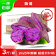 魯禧廣西新鮮紫薯 當(dāng)季精品紫薯地瓜 軟糯香甜健康輕食生鮮蔬菜 中果凈重3斤（單果約150--400g）