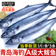 尚致 青島大鲅魚鮮活海捕冷凍海魚馬鮫魚大鲅魚馬鮫魚整條 海鮮水產(chǎn) 1斤3條【青島鲅魚】?jī)糁? title=