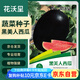 花沃里黑美人西瓜種50粒 蔬菜種子陽臺花盆西瓜盆栽種菜土庭院田間種植