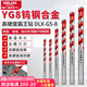 德力西電氣（DELIXI ELECTRIC）霸王鉆瓷磚打孔合金鉆墻混凝土麻花鉆頭DLX-G5-5【10mm】