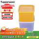 特百惠（Tupperware）冷藏1L*2件套保鮮盒蔬菜水果收納盒食品級密封冰箱儲物盒 隨機色