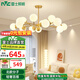 雷士（NVC）北歐輕奢魔豆分子網(wǎng)紅led客廳燈餐廳燈臥室燈吊燈燈具全屋燈飾 明珠 15頭吊燈【需自購光源】