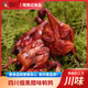 陵南記煙熏鵪鶉臘鵪鶉四川峨眉山特產(chǎn)農家柴火手撕五香鵪鶉需烹飪下酒菜 臘鵪鶉約70g/只*4只