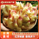 滇鮮生云南本地農家自種仔姜 新鮮食材新姜產(chǎn)地直發(fā)嫩生姜 農家當季新姜 農家優(yōu)選新姜1500g