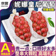 愛(ài)鮮摘農(nóng)場(chǎng) 妮娜皇后葡萄【JD順豐-多地次日達(dá)】陽(yáng)光紅玫瑰提子新鮮水果禮盒 5A嘗鮮果｜單果約8-10g 甜 凈重2斤裝【運(yùn)費(fèi)貴-不劃算】