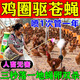 雞舍滅蚊蠅蚊蠅一夏凈農(nóng)村養(yǎng)殖場(chǎng)豬圈牛棚飯店驅(qū)殺蒼蠅蚊子藥神器 噴一次持效120天【再無(wú)蚊蠅】5包