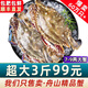 【銷量60W+只】舟山超大梭子蟹鮮蟹活凍大螃蟹生鮮飛蟹大肉蟹 3斤4-8只