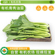沈佳農(nóng)有機(jī)青秀油菜小油菜上海青當(dāng)季新鮮現(xiàn)摘有機(jī)無農(nóng)殘寶寶輔食300g 有機(jī)青秀油菜300g