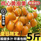 順豐加急達】雞心黃皮果4斤冰鮮冷凍黃彈子當季水果整箱冰糖孕婦R 2斤【帶箱精選速發(fā)】