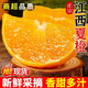 【新鮮發(fā)貨】江西夏橙橙子新鮮大果當季時(shí)令贛南水果手剝冰糖甜橙 5斤 中果【單果60-65mm】