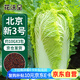 花沃里北京新三號大白菜種子10g*3包 蔬菜種子秋冬四季蘿卜種子庭院田間