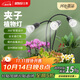 三思夾子植物燈led室內全光譜綠植盆栽花卉分區補光燈-30W三頭定時(shí)