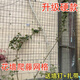鐵藝網(wǎng)格綠植爬藤上墻鐵絲網(wǎng) 鐵線(xiàn)蓮月季花墻用網(wǎng) 包塑防銹防燙傷 1.5米高-6cm孔- 2米長(cháng)（送釘子20+扎帶20）