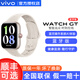 vivo Watch GT智能手表vivowatchgt男女款watchgt藍牙版eSIM版手表女士vivowatch3 2024新款新品iqoo 晨霜白 藍牙版（軟膠）