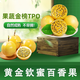閩農(nóng)語果熱帶欽蜜百香果當(dāng)季新鮮欽蜜百香果禮盒酸甜可口廣西水果百香果 3斤【單果45-60g】凈重2.5斤 -豐富維C