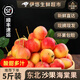 果益壽東北海棠果【順豐到家】k9沙果現(xiàn)摘鮮果黃太平123小蘋(píng)果雞心果 甄選5斤【老客回購(gòu)】 普通快遞