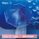 Wpc.長(cháng)柄雨傘新江之島水族館聯(lián)名日本高顏值透明可愛(ài)加固結實(shí)抗風(fēng)雨具